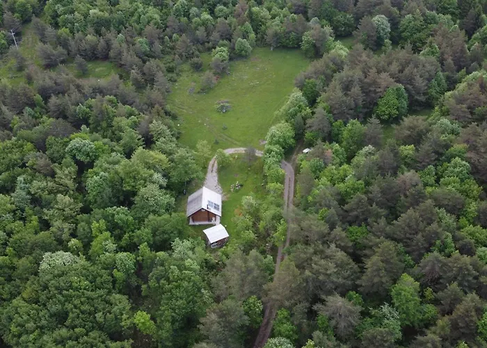 Podklanci-House In The Forest