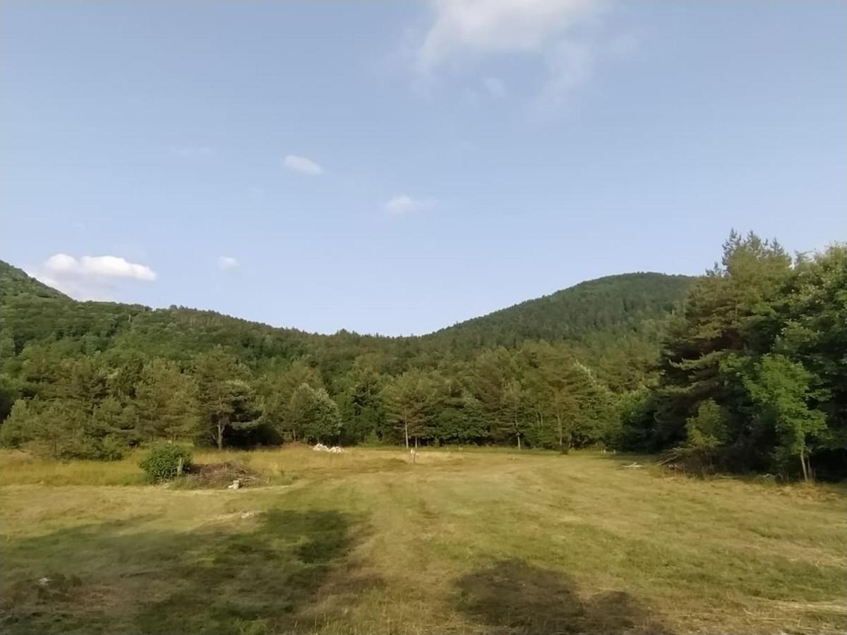 Podklanci-house In The Forest Knežak
