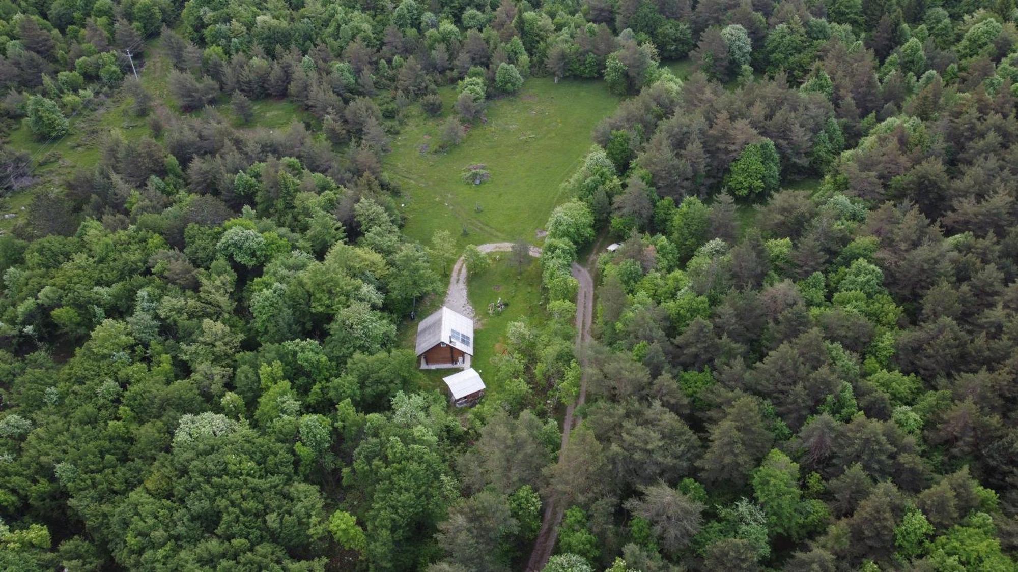 Podklanci-house In The Forest Alpesi faház *